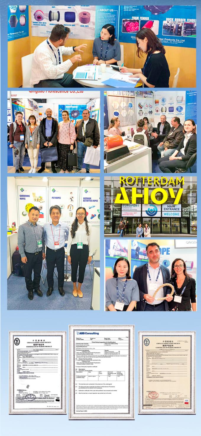 ABS Disetujui 12 Untaian UHMWPE Tali Dengan Cover Polyester Berliku Ganda 32mmx500m 10