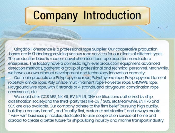 Kekuatan Tinggi 10mm 12mm 12 Strand Uhmwpe Serat Winch Braid Line Marine Sail Rope Yacht 8