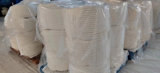 19mmx220m 3 Strand Twisted Nylon Marine Anchoring Rope dengan beban pemecahan tinggi