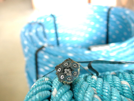 6 Strand PP Kombinasi Tali 6x19 iwrc/fc 18mm/20mm Dengan Warna Disesuaikan
