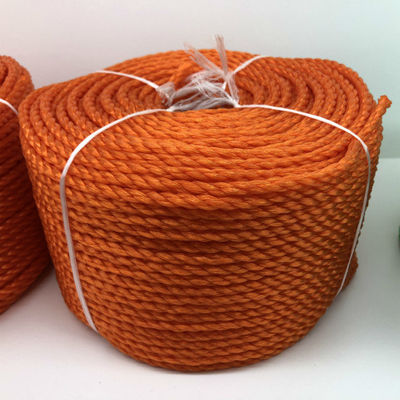 Tali Polyethylene (PE) 3-Untai Serbaguna - Tersedia dalam Berbagai Warna